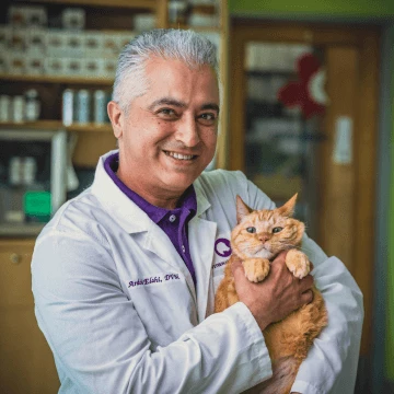 Dr. Elahi