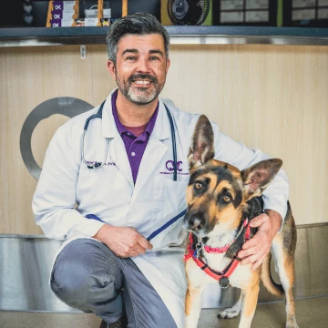 Dr. Rodrigues